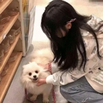 神之羽翼官方版下载